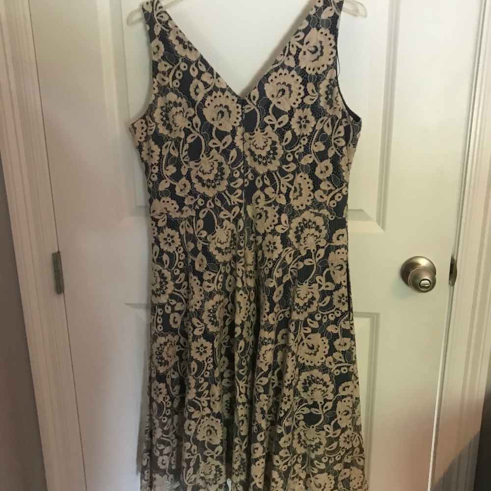 Vincent  Camuto lace dress.  Size 14 Petite Ecru lace over navy blue lining.